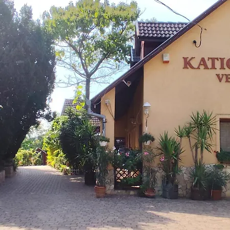 Katica Vendeghaz Apartment
