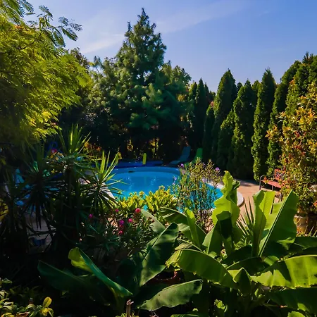 Apartment Katica Vendeghaz