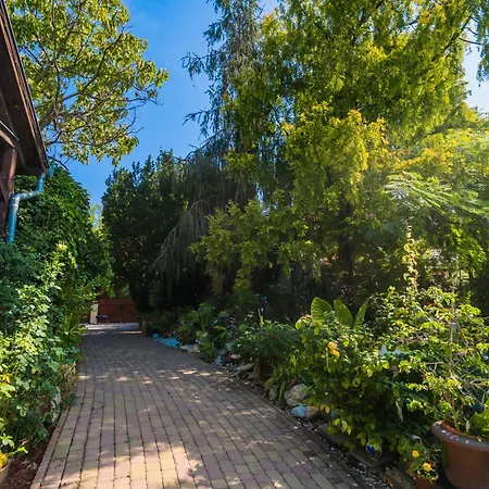 Daire Katica Vendeghaz