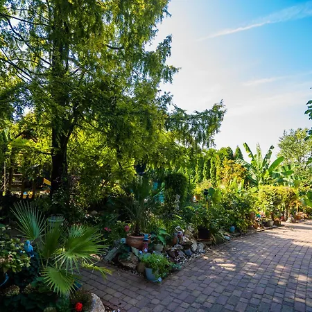 Katica Vendeghaz * Siófok