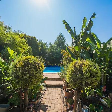 Apartament Katica Vendeghaz *