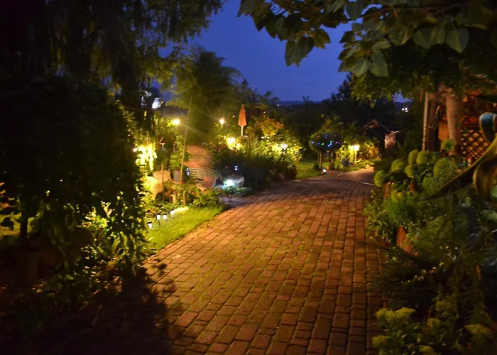 Katica Vendeghaz שיופוק