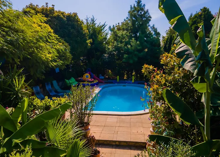 Katica Vendeghaz דירה שיופוק