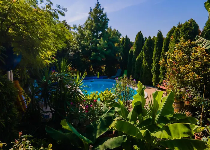 Daire Katica Vendeghaz