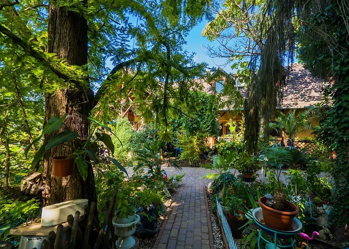 Katica Vendeghaz * שיופוק