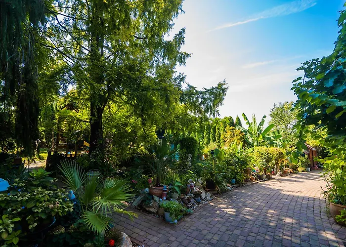 Katica Vendeghaz * Siofok