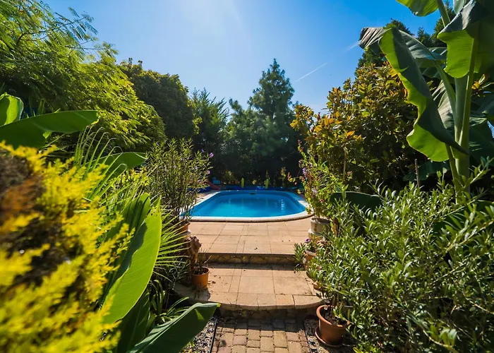 Katica Vendeghaz Daire Siofok